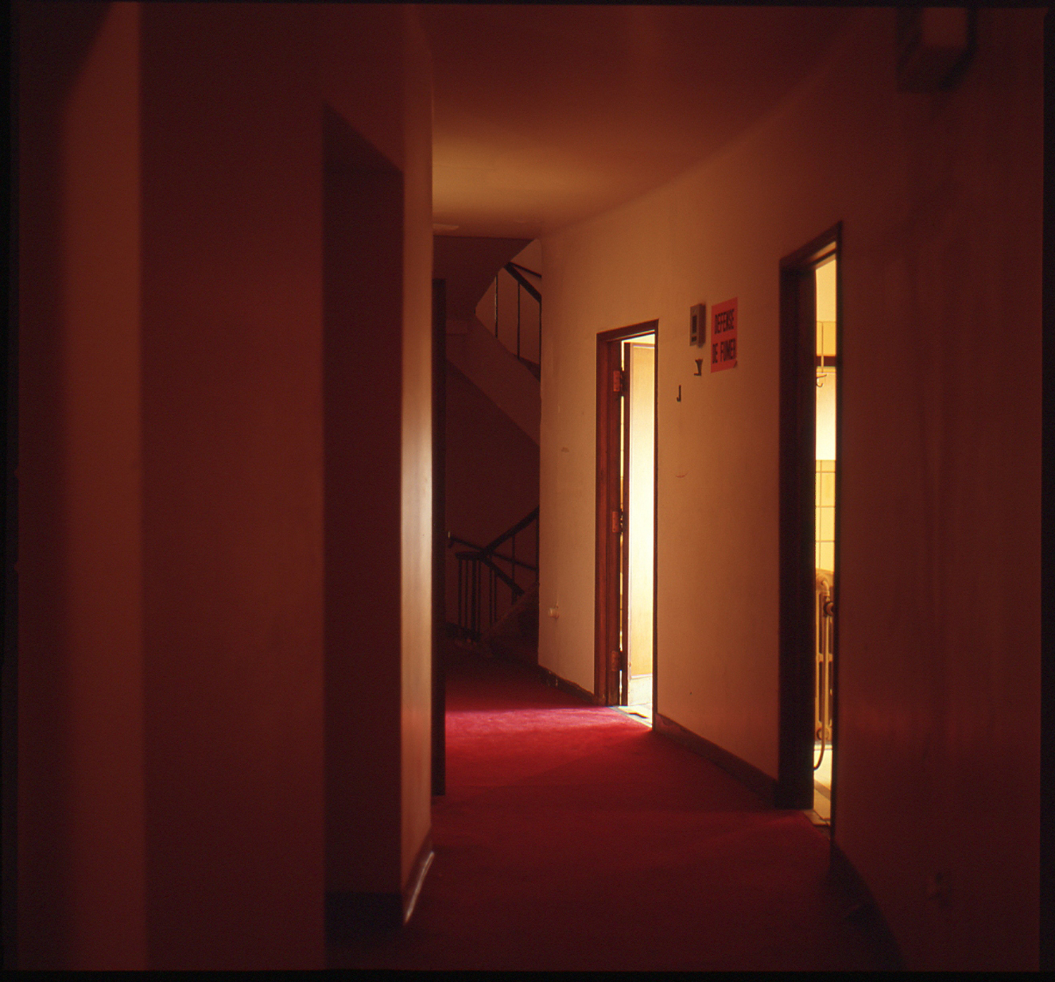 40,couloir loges006 - Photographie de Forêts dévastées par André Soupart